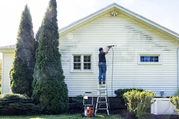 Best House Exterior Washing  in Milan, OH